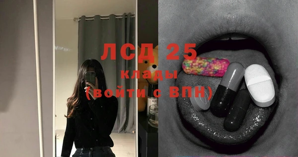 гидра Заволжье