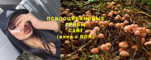 2c-b Заводоуковск