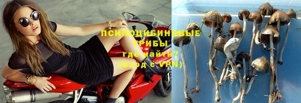 гидра Заволжье